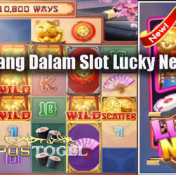 Tips Menang Dalam Slot Lucky Neko Online